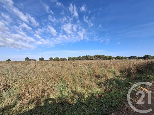 terrain à vendre - 57542.0 m2 - VAUVERT - 30 - LANGUEDOC-ROUSSILLON - Century 21 Petite Camargue
