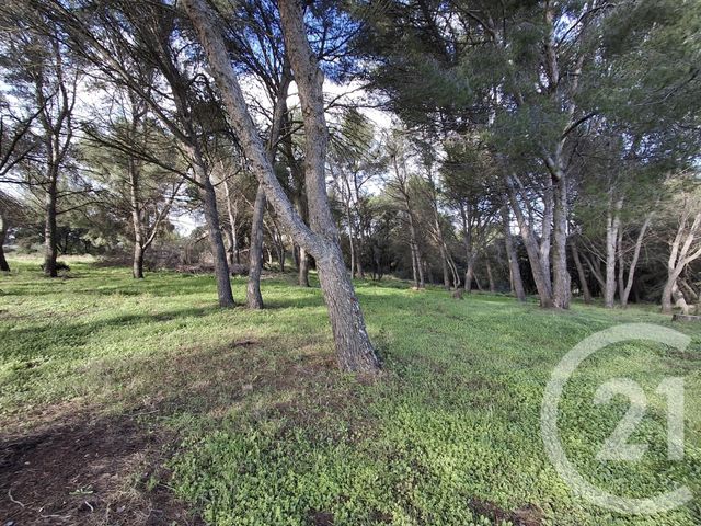 terrain à vendre - 57542.0 m2 - VAUVERT - 30 - LANGUEDOC-ROUSSILLON - Century 21 Petite Camargue